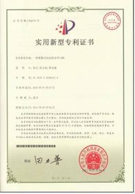 技术转让 驱动创新与经济发展的关键桥梁